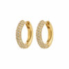 Tatum crystal earrings