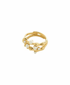 Hadley ring 2in1