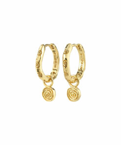 Fire hoop gullbelagt