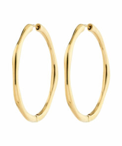 Haze øreringer gullbelagt