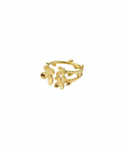 Ajani ring gullbelagt